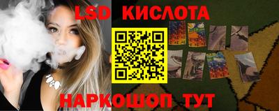 скорость Кингисепп