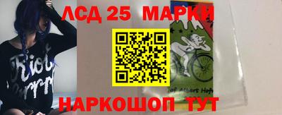 скорость Кингисепп