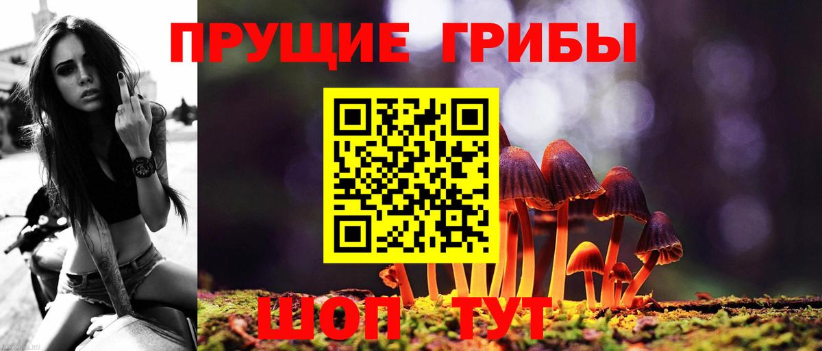 Электрогорск  Каннабис  Вход с VPN  Меф   Кокаин 