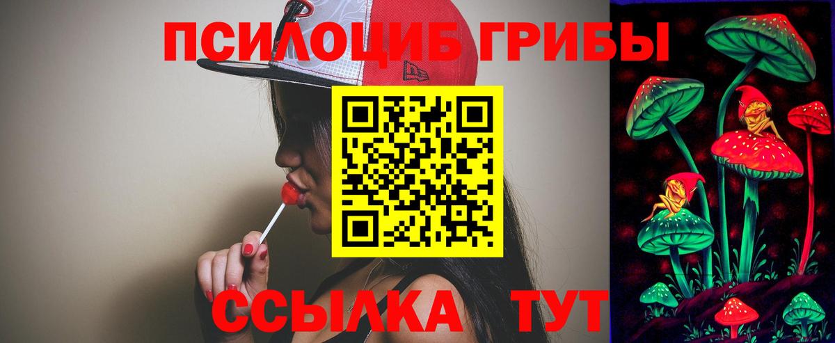 Электрогорск  Псилоцибиновые грибы мицелий  Вход с VPN 