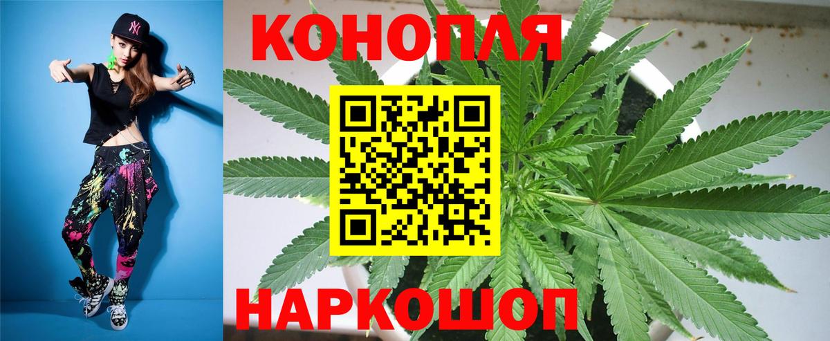 Электрогорск  Шишки марихуана план  Вход с VPN  Каннабис семена  Канабис THC 21% 